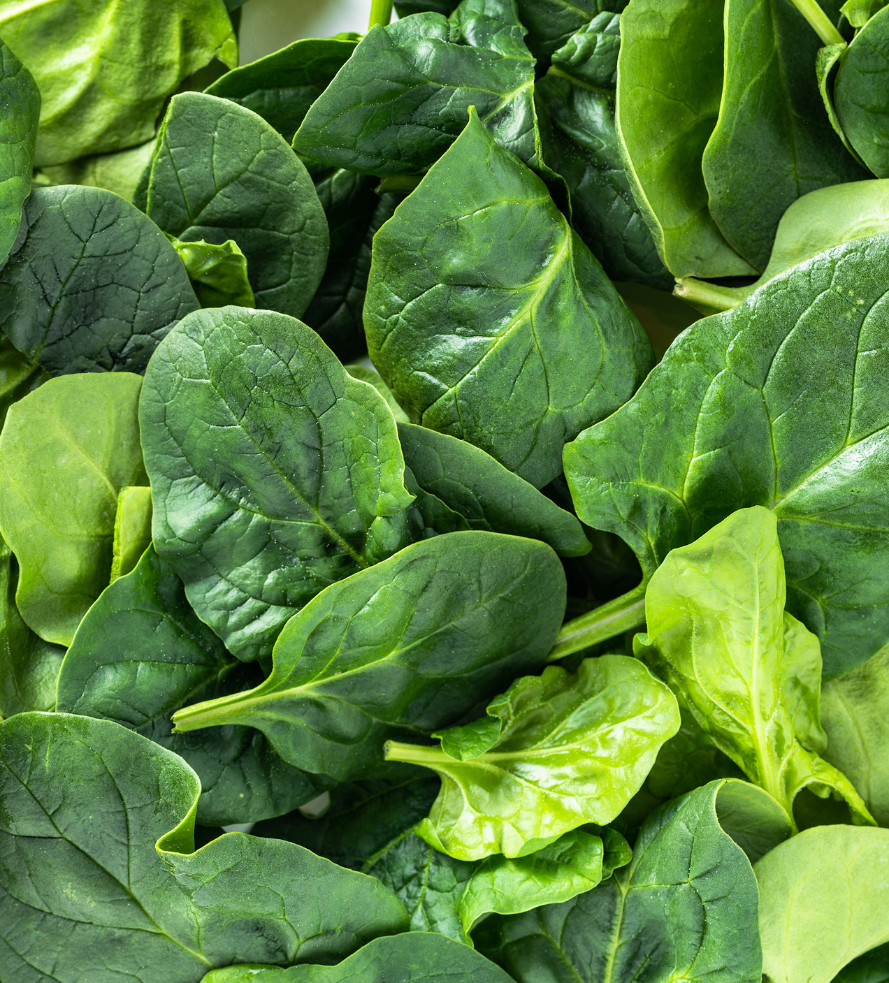 spinach-leaves-bg.jpg